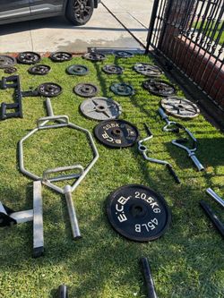 Gym equipment Bars & Weights