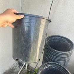 400 5gallon Pots