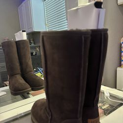 Womens Size 6 Tall Brown Uggs 
