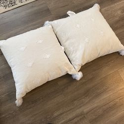 Decorative Pillows
