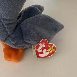 Scoop the Pelican Beanie Baby RARE- retired style 4107 upc:00(contact info removed)077 1996