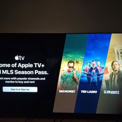 Vizio 65" 4K HDTV