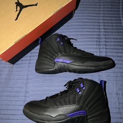 Air Jordan 12 Dark Concord