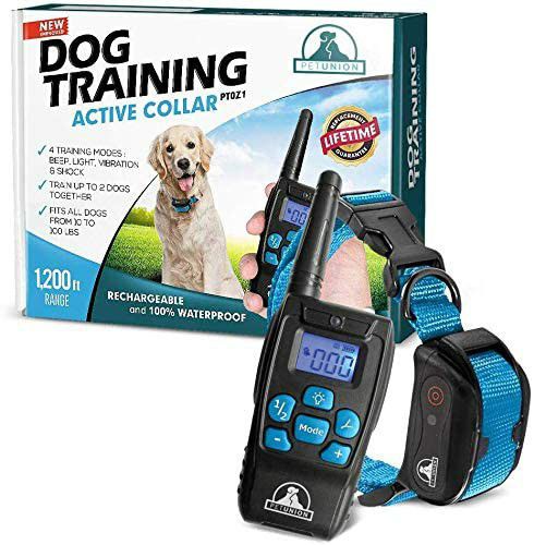 Pet Union PT0Z1 Premium dog training collar