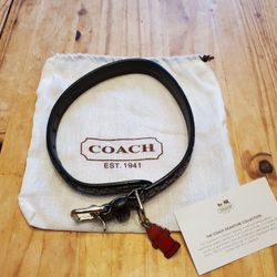 Coach dog collar