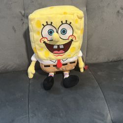 Beanie Babies Collection 