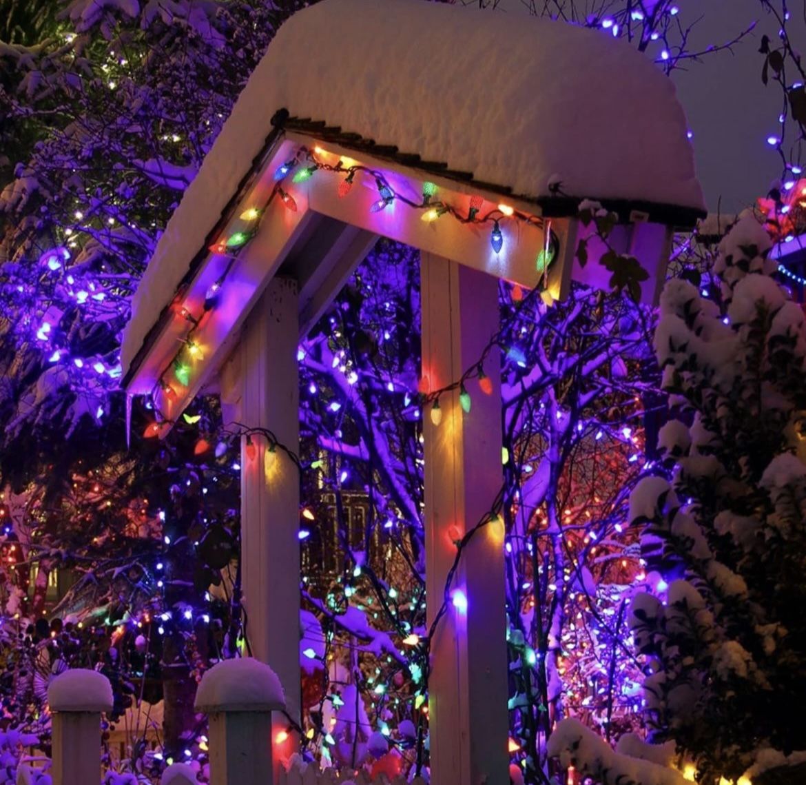 Christmas Lights, 32.8 Ft 50 LED C9 Christmas Lights with Timing Function Waterproof and Connectable Plug for Home Party Garden Decor Outdoor Christma