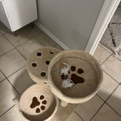 Cat Tree 