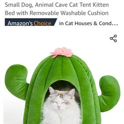 New Cactus Pet Bed