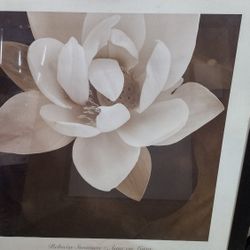 $15 Each For $100 Hanging Wall Art Decor Paintings Portraits