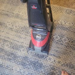 Carpet Cleaner 