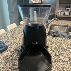 Aspen Pet Automatic Cat Feeder