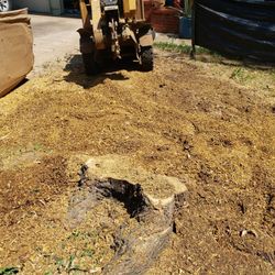 Stump Grinding 