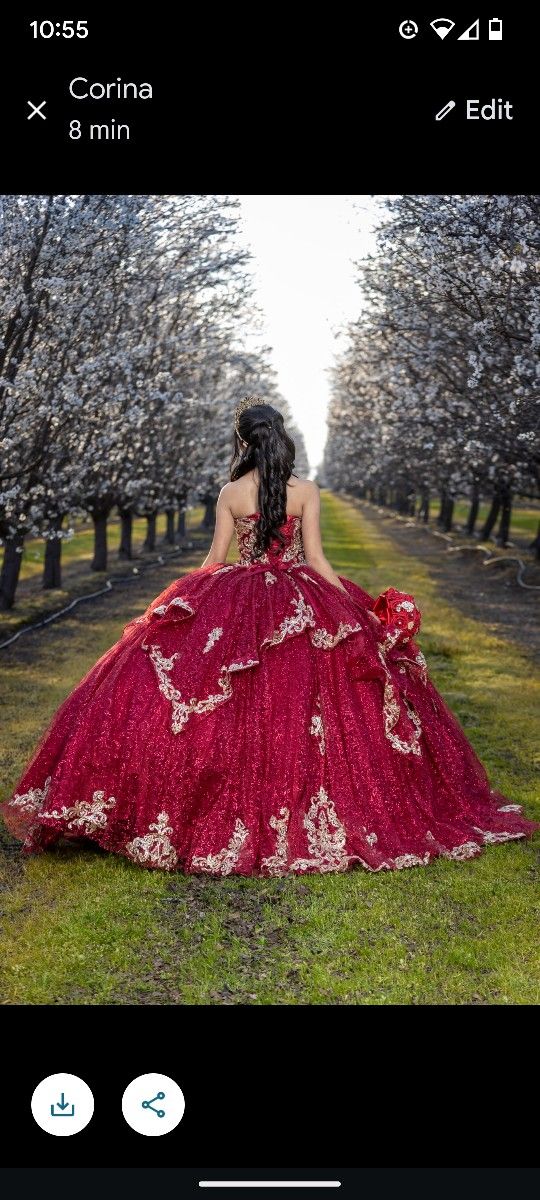 Quinceanera Dress Extra Small