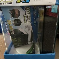 Reef Tank 
