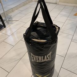 Punching Bag