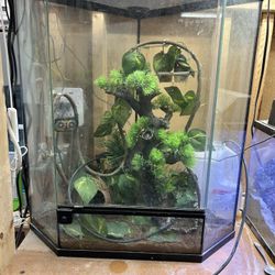 corner front opening terrarium with decorations