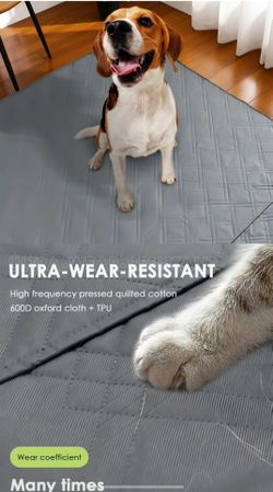 Ultra-Wear-Resistant Pet Mat