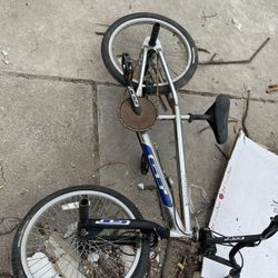 Gt Bmx 