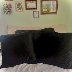 Throw Pillows + Pillow Case Set