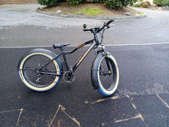 Rad Power Bikes Radrover Bike 2 Batteries 