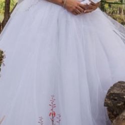 Wedding Dress & Veil