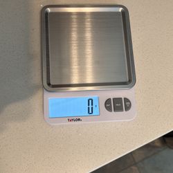 Taylor Brand Food Scale 