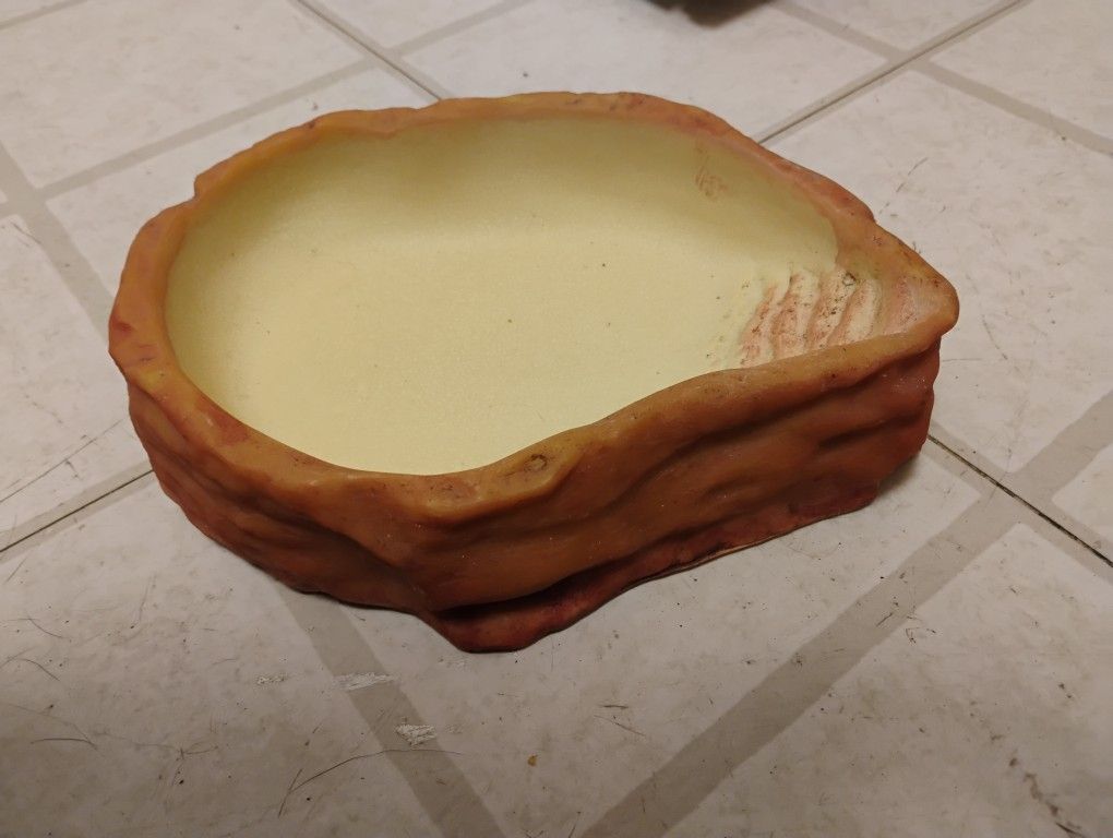 Reptile Water Bowl