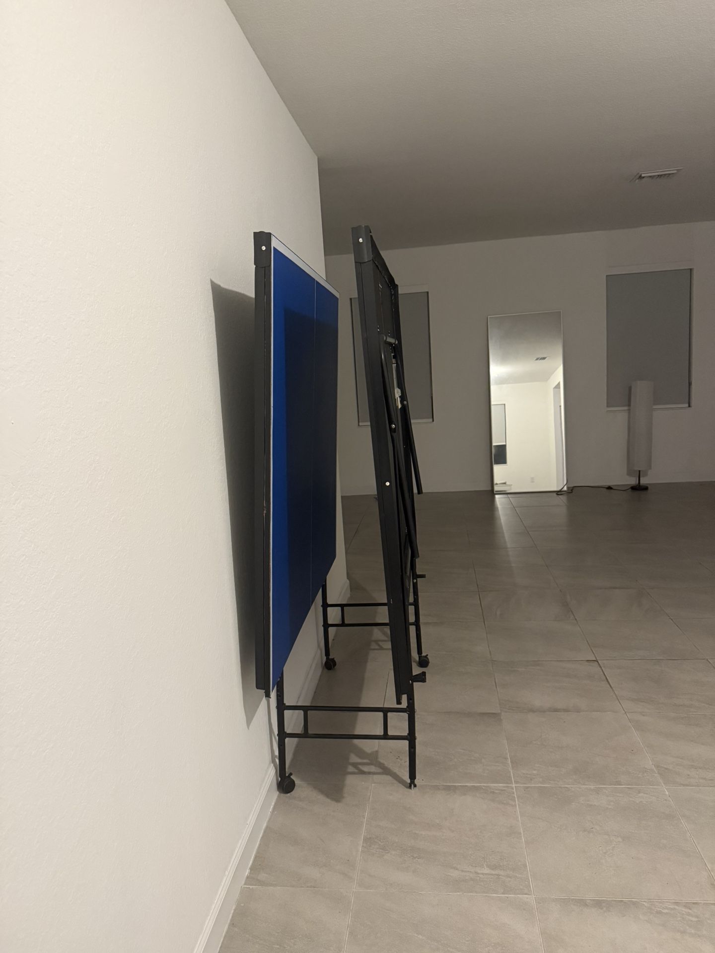 Ping Pong Table 
