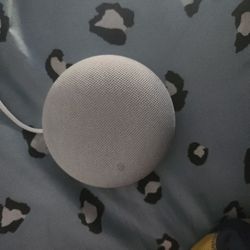 Google Home Nest Mini