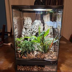 Like New Zoo Med Fully Bioactive Front Opening Reptile Terrarium/Tank! Everything Included! (12in Length x 12in Width x 18in Height)