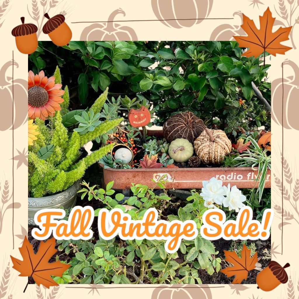 BREA VINTAGE-SHABBY CHIC-FALL  CLEARANCE!