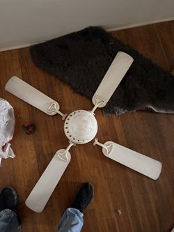 Ceiling Fan