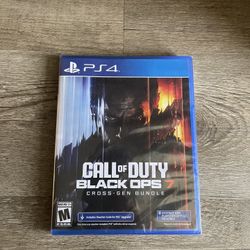 Call Of Duty Black Ops 7 - PlayStation 4 PS4
