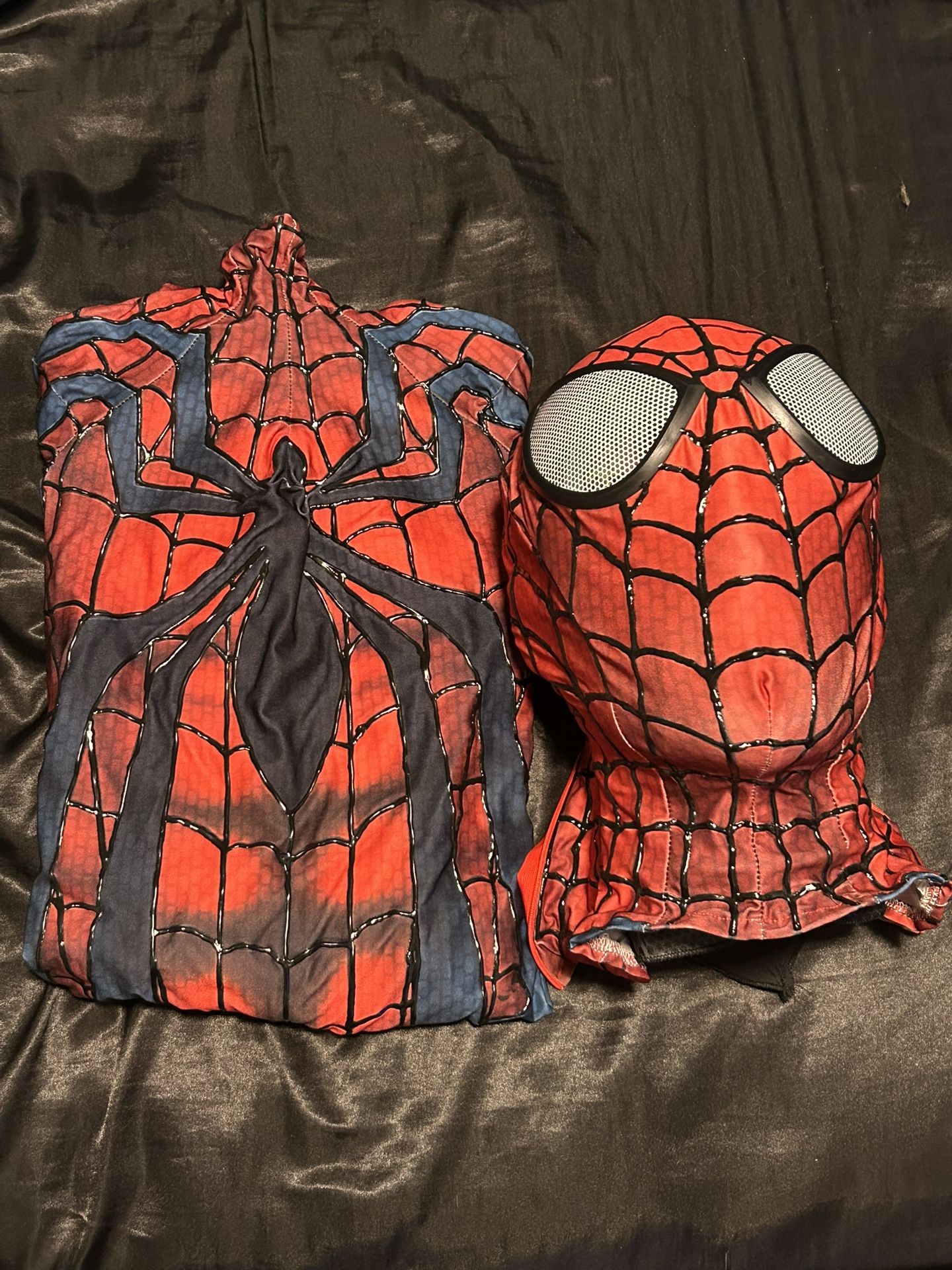 Spider-Man Ben Riley Cosplay
