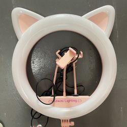 Kawaii Lighting Pink Cat Ring Light