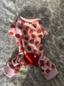 Strawberry Dog Sweater