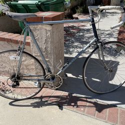 Vintage Schwin Original Completed