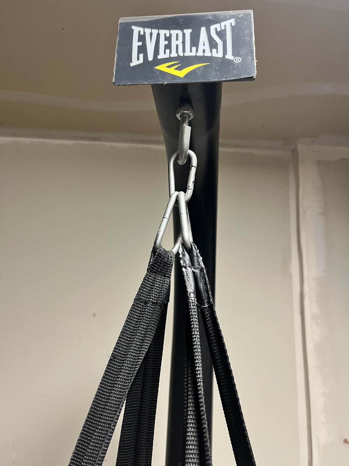 Everlast Punching Bag W/gloves 