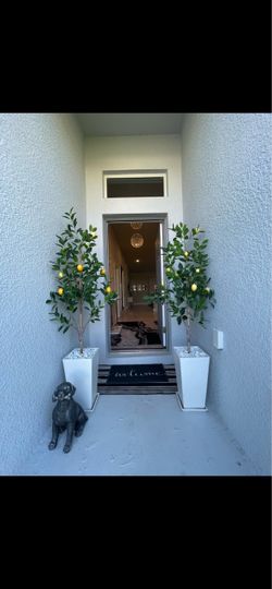 Lifelike/ Fake Lemmon Plants With Pots ￼