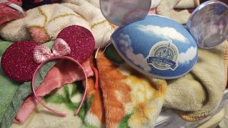 Disney ears Disneyland