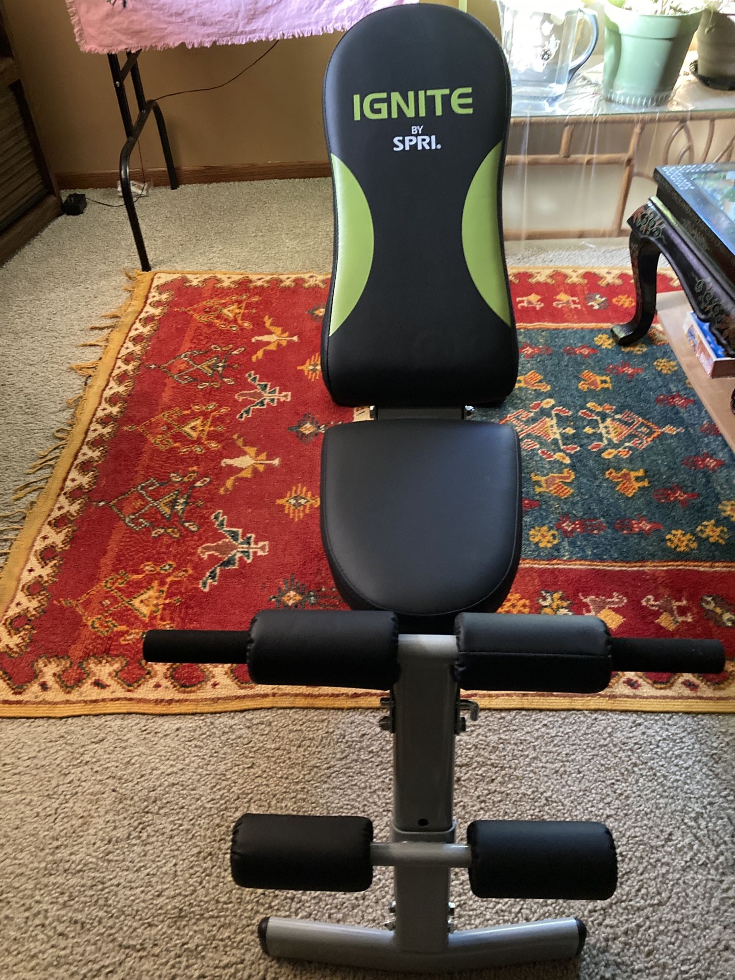 Exercise Bench