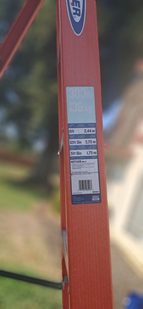 Werner 8ft Ladder