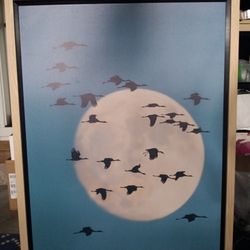 *** Birds Flying in the moonlight***