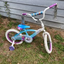 Bike With Training Wheels 