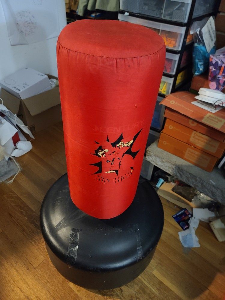 Kids Punching/kickboxing 