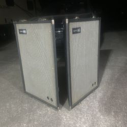 Sunn Wedge Cabinets 2 2x12” 