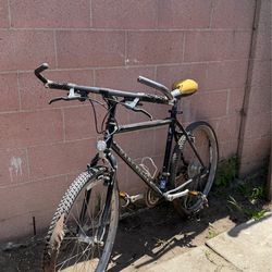 Gary Fisher Mountain Bike