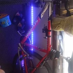 Schwin bike