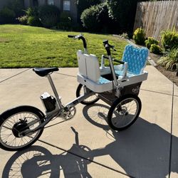 Taga Cargo E-bike 
